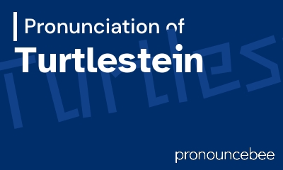 how to pronounce turtlestein feature image