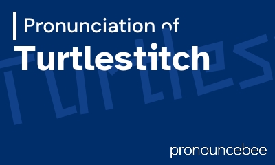 how to pronounce turtlestitch feature image