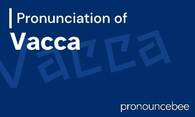 how to pronounce vacca feature image