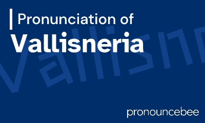 how to pronounce vallisneria feature image