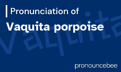 how to pronounce vaquita-porpoise feature image