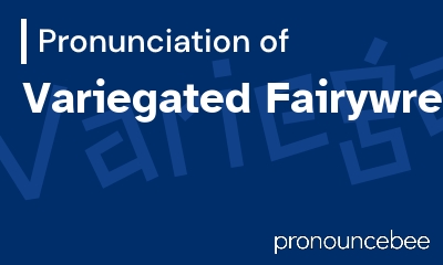 how to pronounce variegated-fairywren feature image