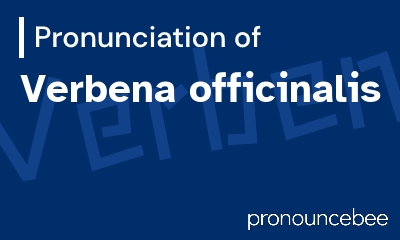 how to pronounce verbena-officinalis feature image