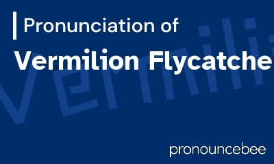 how to pronounce vermilion-flycatcher feature image