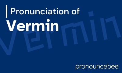 how to pronounce vermin feature image