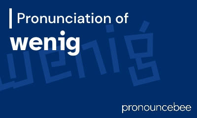 how to pronounce wenig feature image