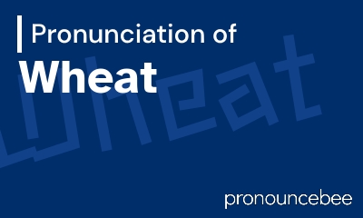 how to pronounce wheat feature image