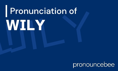 how to pronounce wily feature image