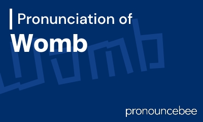 how to pronounce womb feature image