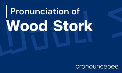 how to pronounce wood-stork feature image