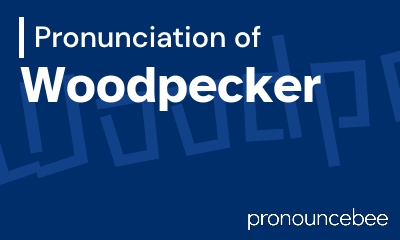 how to pronounce woodpecker feature image