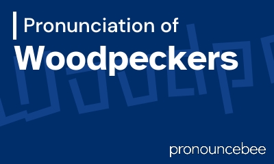 how to pronounce woodpeckers feature image