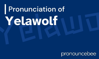how to pronounce yelawolf feature image