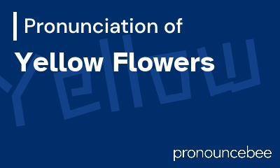 how to pronounce yellow-flowers feature image